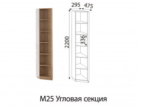 М25 Угловая секция в Троицке - troick.magazinmebel.ru | фото