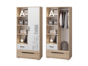 Шкаф для одежды с 2 ящиками в Троицке - troick.magazinmebel.ru | фото