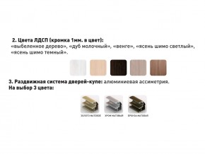 Шкаф-купе Акцент-Сим Д 1400-600 шимо тёмный в Троицке - troick.magazinmebel.ru | фото - изображение 3